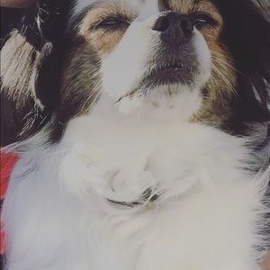 Meet your Posher, Teri